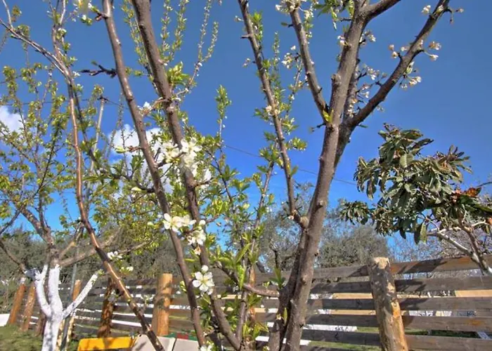 Hébergement de vacances Emilio Kanakádes